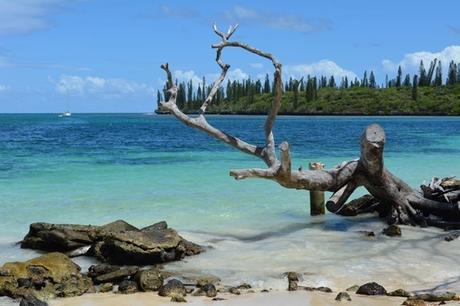 Strand-Kanumera-Bay-Ile-des-Pines-Neukaledonien