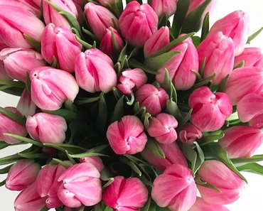 Blumen Abo´s - Warum sich selber Blumen schenken glücklich macht!