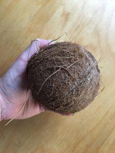 Wie öffne ich eine Kokosnuss ohne Spezialwerkzeug?