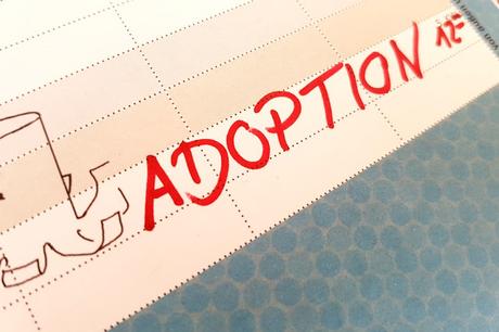 Endlich eine Familie - unsere Adoptionsgeschichte