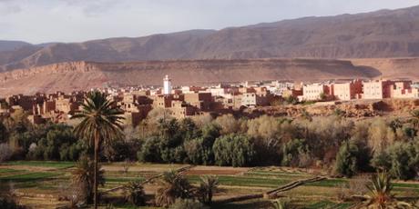 Marokko: Felsbilder und Mitesser