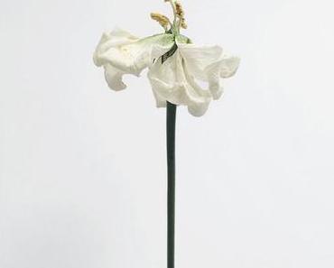 Soulection & Chill: Andres Uribe – Labor of Love