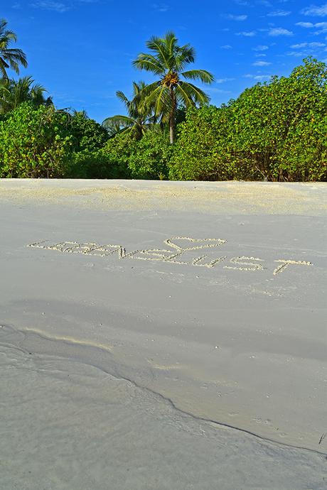 Hurawalhi Malediven Strand Palmen