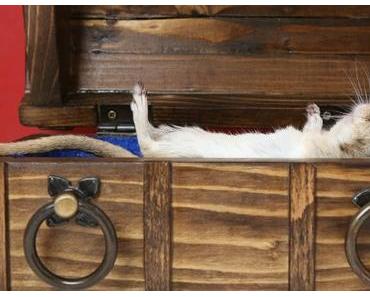 Ungewöhnliche Hotels in Berlin