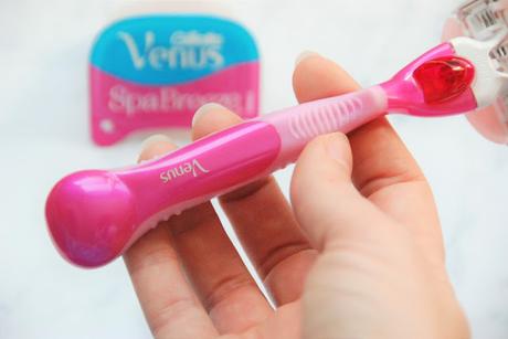 {Review} Welcher Venus Rasierer passt zu mir?