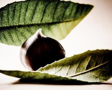 [News] – Korres CASTANEA ARCADIA SERUM: