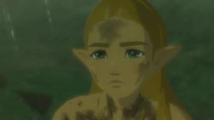 The Legend of Zelda: Breath of the Wild (Nintendo Switch)