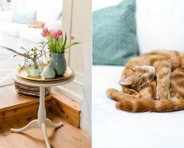 Frühjahrsspecial: It`s green! Zimmerpflanzen