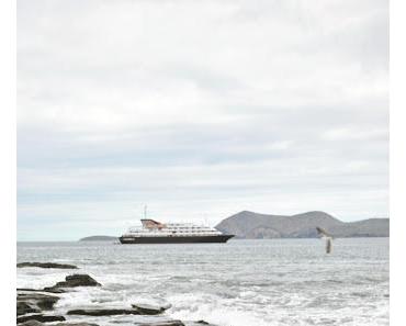 Silversea: Expeditionspakete in der Antarktis