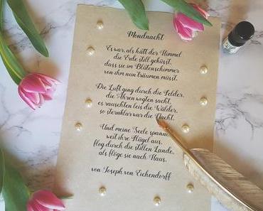 Welttag der Poesie mit Vikings