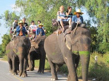 Elefanten Reiten in Thailand – Muss das sein?
