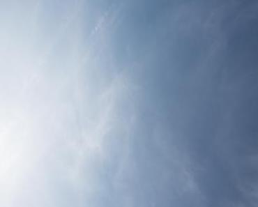 Heute mal aus dem Garten: Das neue, alte Beet