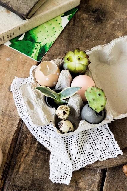Oster DIY: Sukkulenten Garten in der Eierbox - Osteraufmerksamkeiten /  Tiny Natural Dyed Eggshell Garden for Easter - Easter Gift