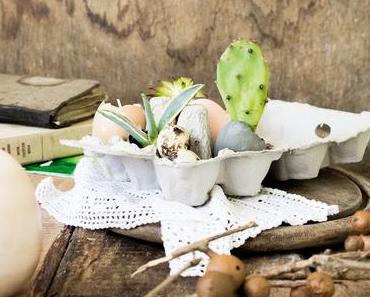Oster DIY: Sukkulenten Garten in der Eierbox - Osteraufmerksamkeiten /  Tiny Natural Dyed Eggshell Garden for Easter - Easter Gift
