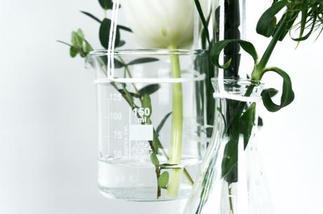 Zeit für Frühling: DIY Vase aus Laborgläsern