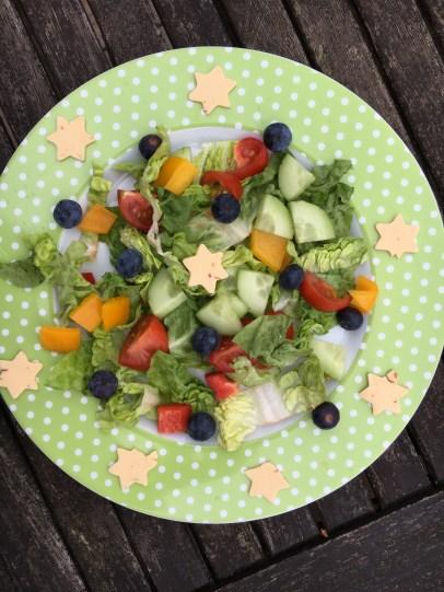 SimplyV Salat Sterne (2)
