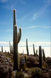 Isla de Pescadores im Salar de Uyuni