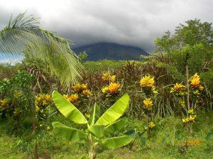 Reserva Charco Verde auf Ometepe
