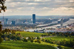 Jahrgangspräsentation: „Erste Lage“ Wein aus Wien