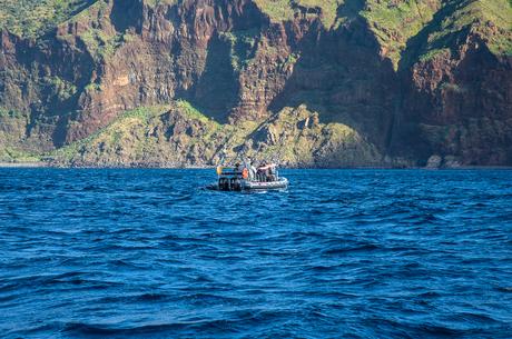 5 Ausflugstipps, um Madeira zu entdecken
