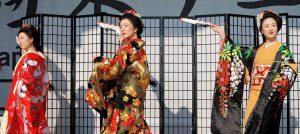 Der Japantag 2017, was erwartet Euch ?