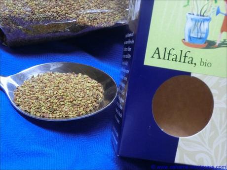 Alfalfa-Sprossen (mit Bohnen-Paprika-Salat)