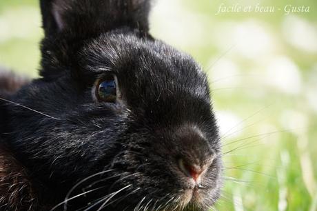 Portrait von Schigaro Portrait von Schigaro