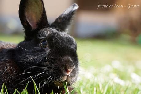 Portrait von Schigaro Portrait von Schigaro