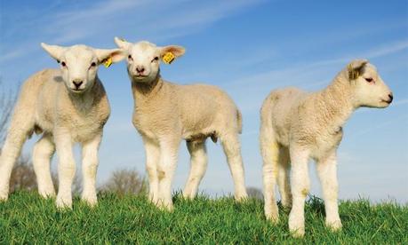 Ostern – durchgehend geöffnet trotz der Feiertage