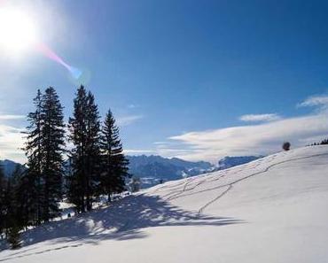 Winter-/Schneeschuhwanderung von Reit im Winkl zur Hutzenalm - Embacher Alm – Frankenalm