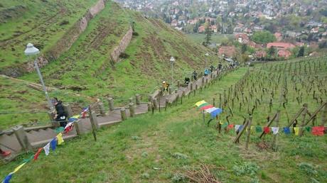 Vom Treppenmuffel zum Treppenengel