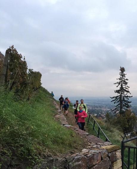 Unser erster Trailrun – Revierguide Radebeul