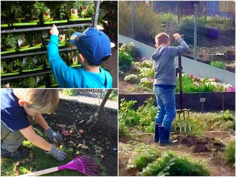 Urban Gardening: So geht es kinderleicht!