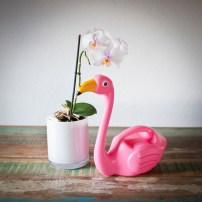 flamingo_watering_can_2