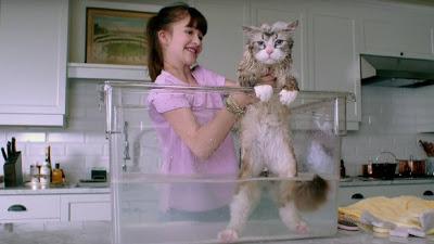 VOLL VERKATERT - Kevin Spacey als Katze