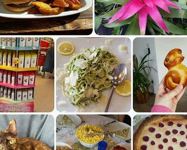 Wochenrückblick KW 15