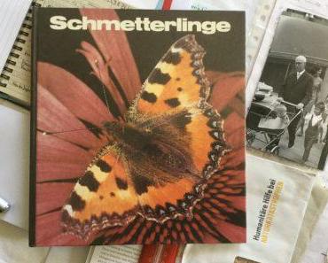 Frühlingserwachen auf zarten Flügeln