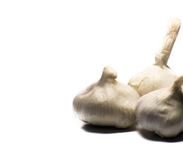 Tag des Knoblauchs – der amerikanische National Garlic Day