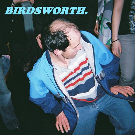 Birdsworth: Komische Vögel