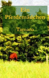 Ein Pferdemädchen (zum Buch bei Amazon)