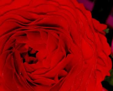 wallpaper-1689754