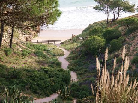 Eine Woche in Albufeira, Portugal: Entspannen in der Algarve
