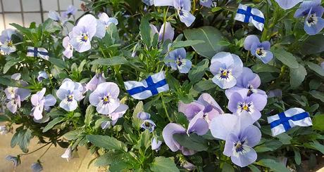 Vappu – das finnische Frühlingsfest