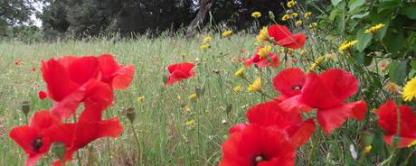 Kalenderblatt | 02.05.2017