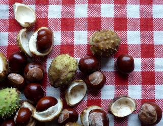 Herbstliche Dekoideen – Schätze aus der Natur