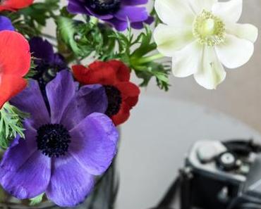 Lebensfreude pur in der Vase