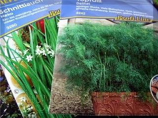 Floragard Bio Grow Bag Salat & Kräuter - Der Anfang ist gemacht