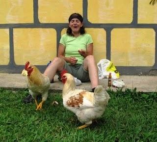 Popayán - Cali: Raubhühner und Armee-Checkpoint