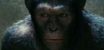 Trailer zu ‘Rise of the Planet of the Apes’