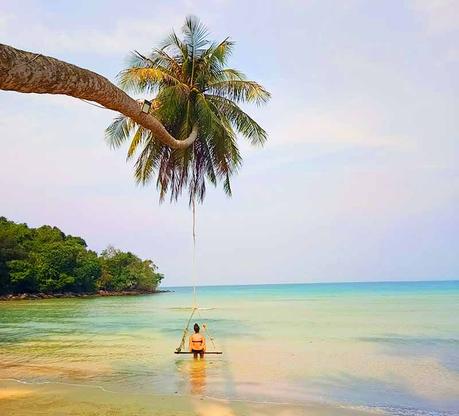 koh-kood-strand-palme-insel-thailand